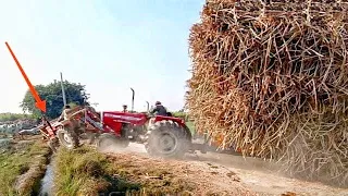 Tractor Stunts | stupid Tractor Drivers on MF 385 tractor pulling sugarcane loaded Trolley