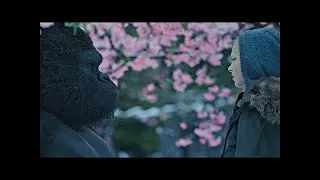 Nova & Luca Scene | War for the Planet of the Apes (2017)#LOWI