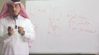 Pediatric Cardiovascular Assessment (History Taking) - Dr. Zaher Faisal Zaher