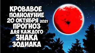 Кровавое Полнолуние 20 октября 2021 года ПРОГНОЗ для каждого Знака Зодиака