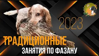 Традиционные занятия по фазану 2023 г.