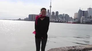 Meteor hits CN Tower, Toronto. this is the start of earth finish