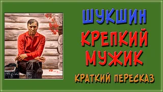 Крепкий мужик. Краткое содержание