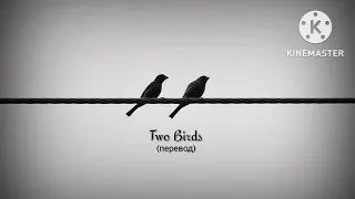 Регина Спектор : Two Birds - Две птицы (перевод)