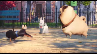 The Secret Life of Pets - Trailer 2 (German/Deutsch)