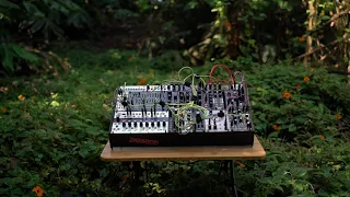 Modular Synth - Hawaii 01 // Deckards Voice & Expert Sleepers Lorelei