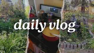 Daily Life Vlog #10/deep cleaning/life thoughts