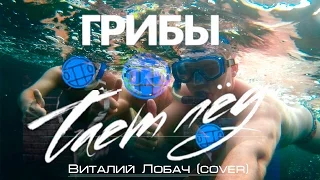 Виталий Лобач - Тает лёд (cover Грибы)