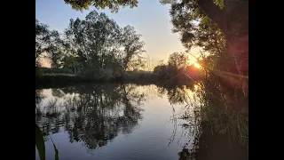 Lustiger Abend-Ansitz an der Wörnitz