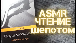 АСМР чтение шепотом  | Норвежский лес | ASMR reading