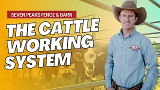 The Cattle Working System: How It Works and Why You Should Use It - Seven Peaks Fence And Barn