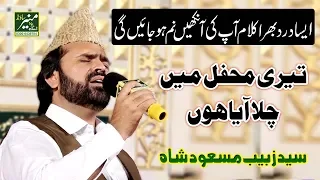 Teri Mehfil Mein Chala Aya Hoon | Syed Zabeeb Masood Naats 2019 |  Best Naat In The World