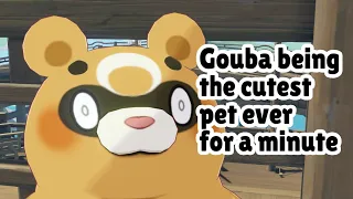 GOUBA being THE CUTEST for an entire minute