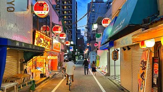 Live Tokyo Evening Walk - Kagurazaka & Waseda 神楽坂、早稲田夜散歩