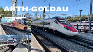 Züge beim Bahnhof Arth-Goldau | Trains at Arth-Goldau Station (2020)