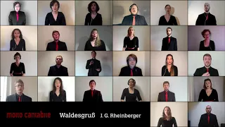 J. G. Rheinberger: Waldesgruß - Virtual Choir
