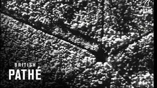 Aerial Shots Of Bombing (1944)