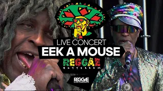 Eek a Mouse's Unforgettable Live Act: Reggae Rotterdam Festival's Insane Moment!