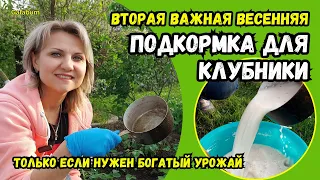 Только если нужен БОГАТЫЙ УРАЖАЙ КЛУБНИКИ подкормите её этим.... @galabum