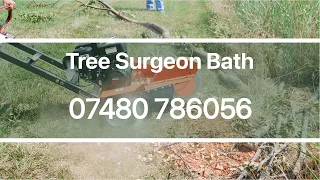 Tree Surgeon Bath Stump & Root Removal & 24 hr Tree Felling Services Residential & Commercial