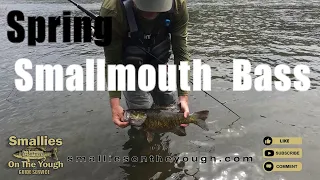 The Search for Pre-Spawn Smallmouth Bass!