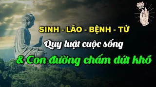 Phật dạy "Sinh Lão Bệnh Tử" - Quy luật cuộc đời. Làm sao để dứt khổ, sống an yên? Radio Nghe Để Ngẫm