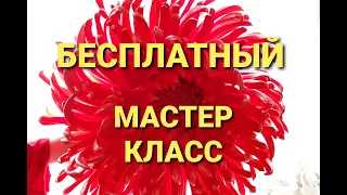 ХРИЗАНТЕМА ИЗ ИЗОЛОНА 70 СМ/ МАСТЕР КЛАСС/ ЦВЕТЫ ИЗ ИЗОЛОНА/ БЕСПЛАТНЫЙ МАСТЕР КЛАСС/СЕМЬЯ ИЗ САМАРЫ