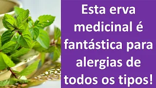 Esta erva medicinal é fantástica para alergias de todos os tipos! | Dr. Marco Menelau