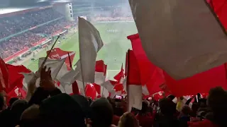 1. FC Kaiserslautern - 1. FC Köln 2. Runde DFB-Pokal Stimmung Westkurve FCK Rote Teufel Betzenberg