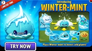 Place Winter-mint to Boosts all cold plants! in Plants vs. Zombies 2: Gameplay 2018