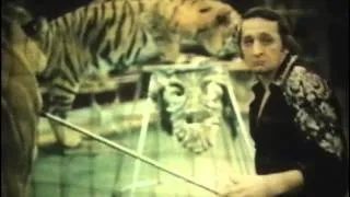 Тигры в жизни второклассника Семенова (1980)