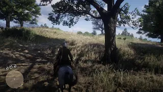 Red Dead Online - УГАР НА ДИКОМ ЗАПАДЕ