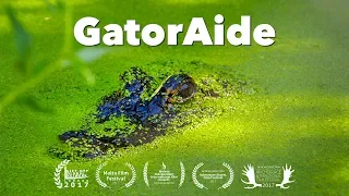 GatorAide - Alligator Wrestling Documentary