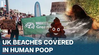 UK’s Poopy Beaches Getting Worse By Every Year