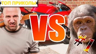 ТОП Приколы #1 Подборка приколов, драка за мотоцикл Январь 2016 | Best monkey fight January 2016