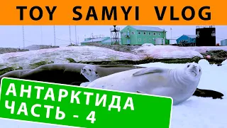 АНТАРКТИДА  4я серия. TOY САМЫЙ ВЛОГ. Антарктическая станция Академик Вернадский.