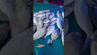 murang isda sa Sampaloc st