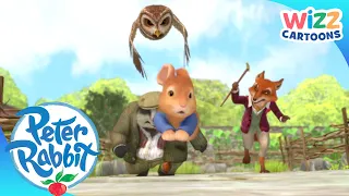 @OfficialPeterRabbit - Great Escapes | Summer Fun! |  Action-Packed Adventures | Wizz Cartoons