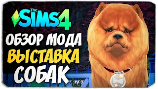 ВЫСТАВКА СОБАК В СИМС 4 - ОБЗОР МОДА - THE SIMS 4 (СТРОИМ ПАРК ДЛЯ ПИТОМЦЕВ)