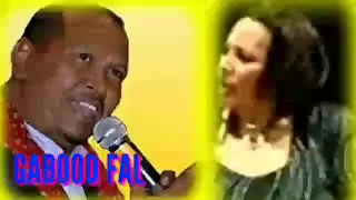 samatar iyo khadra daahir | geedkan midi waa qoyaan