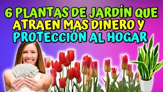 6 Plantas de Jardín  que Atraen Mas Dinero y protección al hogar