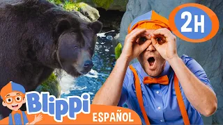 Blippi en el Zoo - Alimenta a los Animales | Blippi Español | Videos Educativos