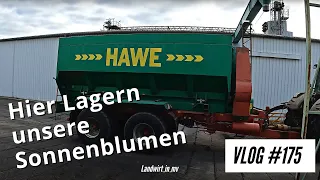 Vlog #175 Weiter beim Körnermais. In dieser Halle Lagern wir Sonnenblumen und Mais