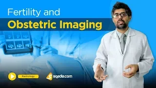 Fertility and Obstetric Imaging | Medical Radiology | Online Lectures | V-Learning