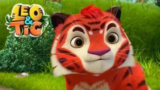 Leo and Tig 🦁 6-10 episodes in a row 🐯 Funny Family Good Animated Cartoon for Kids