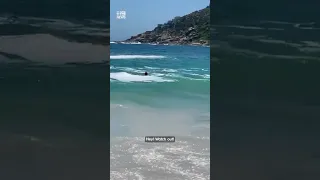 Seal pup attacks swimmers