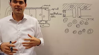 Function of CFTR