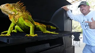 Whole Iguana smoked using Orange Wood {Catch Clean Cook} These things are destroying S. Florida