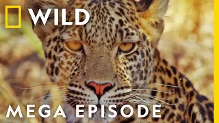 The Fight for Survival | Savage Kingdom MEGA EPISODE | Season 2 Full Episodes