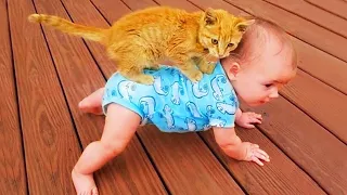Самый смешной ребенок и кошка # 2 - Смешное детское видео